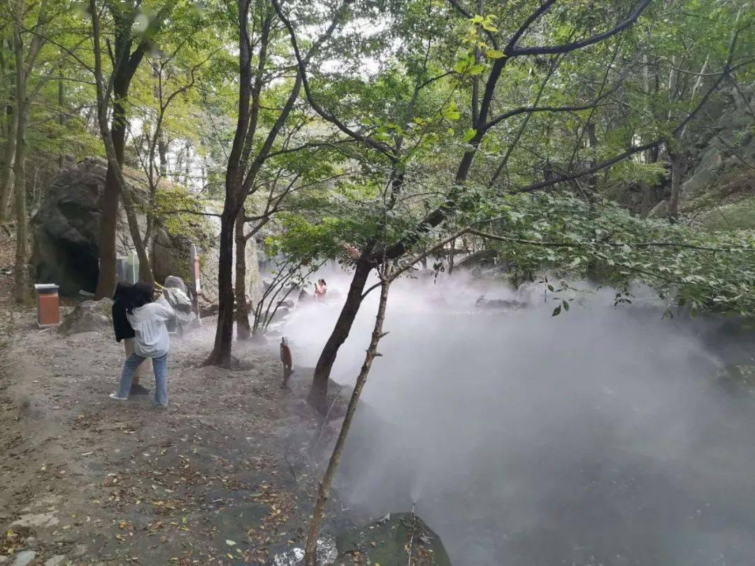 小土豆勇闯哈尔滨,北方挣钱上三亚,北方粗粮南方细糠咋选